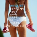 피토셀코리아