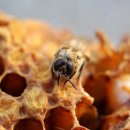 농업회사법인 애니실크(주) 이미지