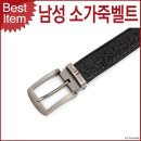 537 이미지