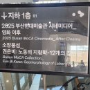 친환경 식물 미술관 | 부산 전시 『힐마 아프 클린트:적절한 소환』 부산현대미술관