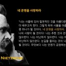 니체에게 배우는 인생 공부 이미지
