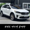 마스타손세차 이미지