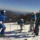 휘닉스파크 이미지