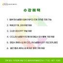 뷰티퍼스널컬러전문가(2급) 이미지