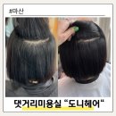 아이파크 동물병원 | 마산 미용실 추천 염색 잘하는 곳 댓거리미용실 도니헤어