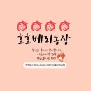 341-2-000024 | [영광 가볼 만한 곳 ] 영광 해수욕장 추천 '가마미해수욕장' / 영광 백수해안 도로 카페 추천 '레드힐...