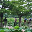 풀꽃세상채식뷔페 이미지