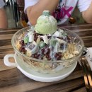 가비오타(GAVIOTA) 이미지