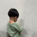 부크헤어