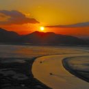 순천만 갈대밭 이미지