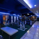 킹덤스포렉스 이미지