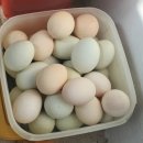 고은유치원 앞 이미지