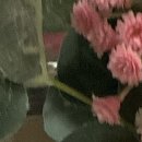 270-2527 | 스포츠양말 장목, 다양한 코디에도 잘 어울려요