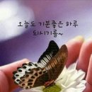 달콤한금요일