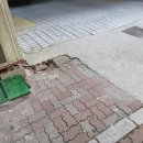 정발산로82번길 | 상가 주차장 구멍난 보도블럭 수리 방법
