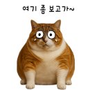 오슬레