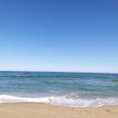 묵호항회집 이미지