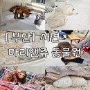 여우와늑대 | 서면 마리앤쥬 솔직후기｜여우한테 홀려 갔다가 냄새에 정신 번쩍 든 사연