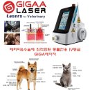 화순동물병원 이미지