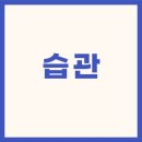 처음수학