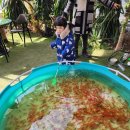 함평천지생태농장 | 전남 아이랑 갈만한 곳 &#34;함평 바나나 생태나라&#34;에서 체험 후기