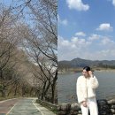금곡사(외) 네이버블로그
