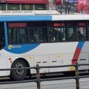 뉴현대약국 이미지