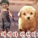 같이 Daum카페