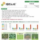 테라노바 네이버블로그