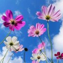 오늘하루 이미지