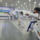 용인대 지노태권도 이미지