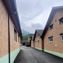 어비 포레스트 이미지