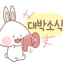 루리마켓 네이버블로그