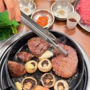 한우정육소 티스토리