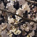 내장상동 공감플러스센터 이미지