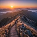 🌾 2025년 10월 억새 산행지 BEST 7 이미지