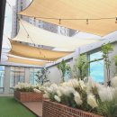 애견미용실 몽 이미지