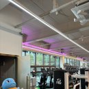 프로스카이 짐 | 체계적인 운동 환경! 일산헬스장 <더스카이짐 본점> 후기