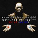 부의추월차선