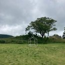 황금빛 목장 이미지