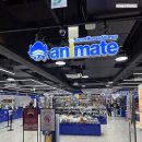 맨샵 | [덕후 생활] 홍대 새틀라이트 굿즈샵 후기 - 체인소맨, 주술회전 Feat.애니메이트