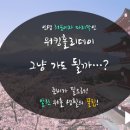 타이어킹주식회사 Daum카페