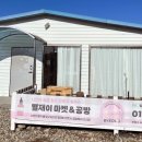 별재이마켓 - 사천시 진삼로 1001 | 사천 키즈 원데이클래스 왁스디오라마체험[별재이마켓] 후기!