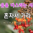 자신을 되돌아 볼 수 있게 혼자서 가라 / 범능스님 노래모음 이미지