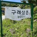 법인구례삼촌