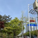 블랙스완래쉬 이미지