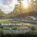 신비카 이미지