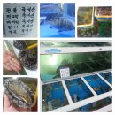 경운횟집 이미지