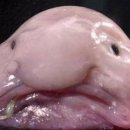 강일학원 - 강북구 도봉로 95 | 강일학원