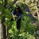 고인돌마을 이미지